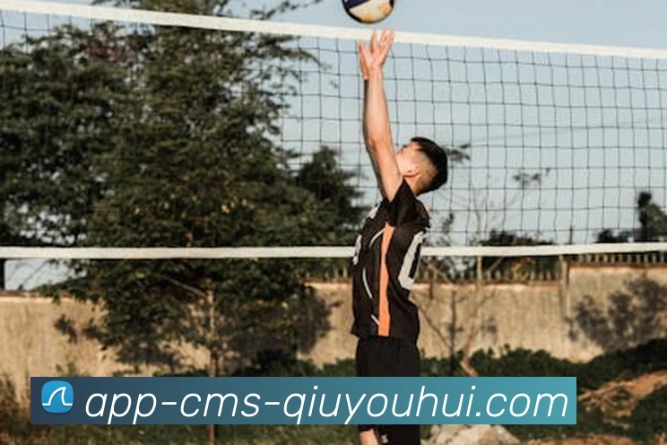 球友会app品牌故事